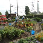 DSC01620