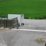 IMG_0244