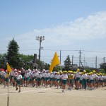 IMG_0875