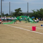 IMG_0931