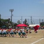 IMG_0946