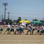 IMG_0947