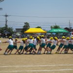 IMG_0948
