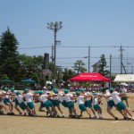 IMG_0949