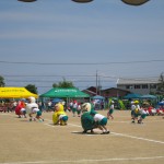 IMG_0952