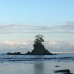 IMG_0853